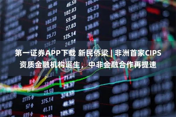 第一证券APP下载 新民侨梁 | 非洲首家CIPS资质金融机构诞生,中非金融合作再提速