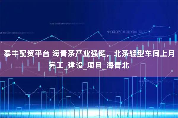 泰丰配资平台 海青茶产业强链，北茶轻型车间上月完工_建设_项目_海青北