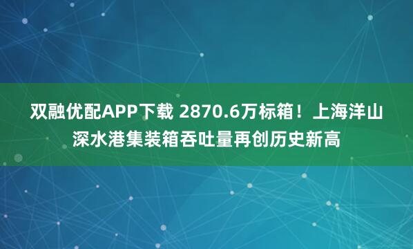 双融优配APP下载 2870.6万标箱！上海洋山深水港集装箱吞吐量再创历史新高