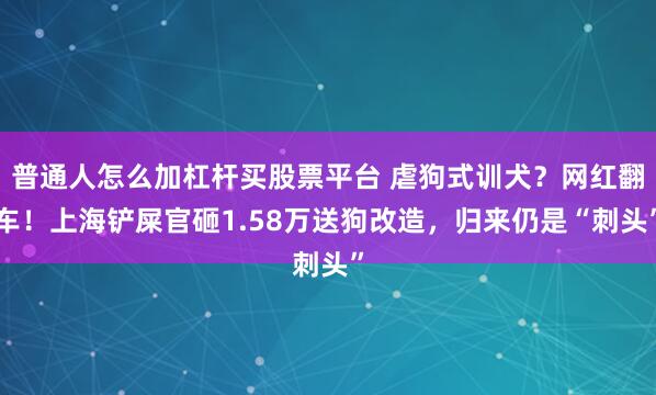 普通人怎么加杠杆买股票平台 虐狗式训犬？网红翻车！上海铲屎官砸1.58万送狗改造，归来仍是“刺头”