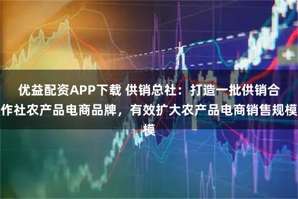 优益配资APP下载 供销总社：打造一批供销合作社农产品电商品牌，有效扩大农产品电商销售规模