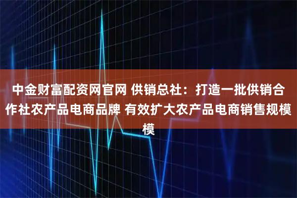 中金财富配资网官网 供销总社：打造一批供销合作社农产品电商品牌 有效扩大农产品电商销售规模