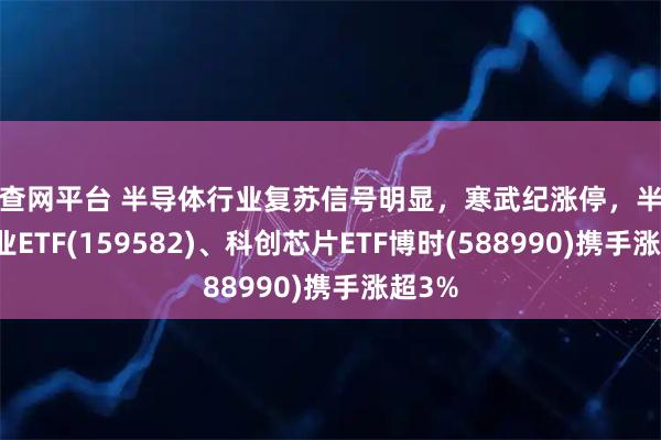 配查网平台 半导体行业复苏信号明显，寒武纪涨停，半导体产业ETF(159582)、科创芯片ETF博时(588990)携手涨超3%
