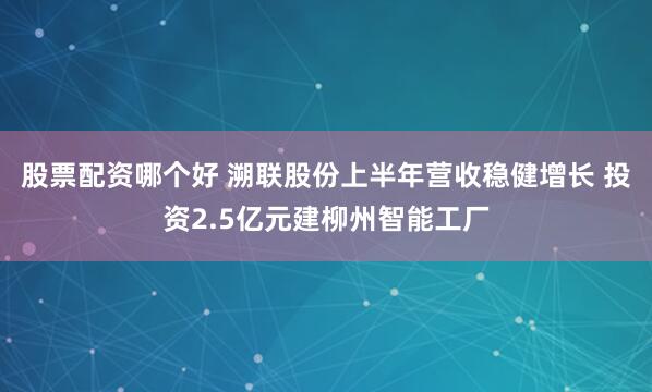 股票配资哪个好 溯联股份上半年营收稳健增长 投资2.5亿元建柳州智能工厂